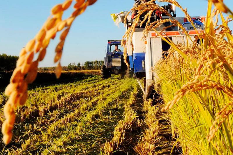 ەگىس القاپتارىن ءارتاراپتاندىرۋ فەرمەرلەردى وقىتۋدان باستالۋى كەرەك