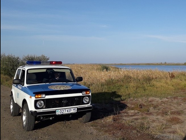 سقو پوليتسەيلەرى تابيعاتتى قورعاۋ زاڭناماسىنىڭ 443 بۇزۋشىلىعىن انىقتادى