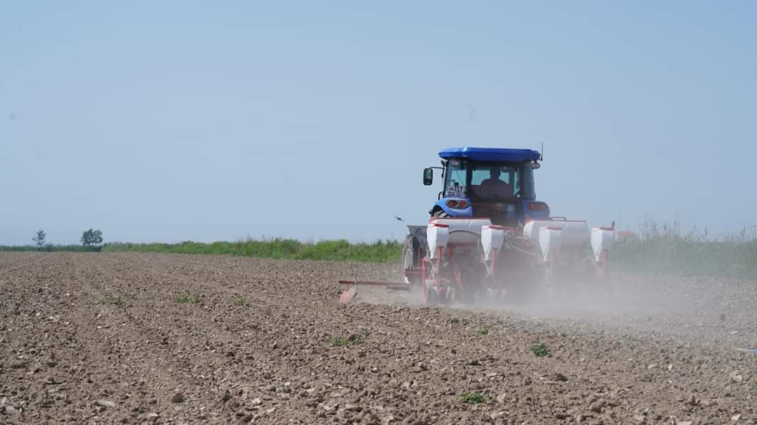 ماقتاارالداعى زاقىمدانعان جەرلەردىڭ 50 پايىزدان استامى قالپىنا كەلتىرىلدى