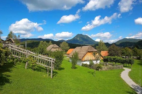 ەكوتۋريزمدى دامىتۋعا ەرەكشە نازار اۋدارىلۋدا