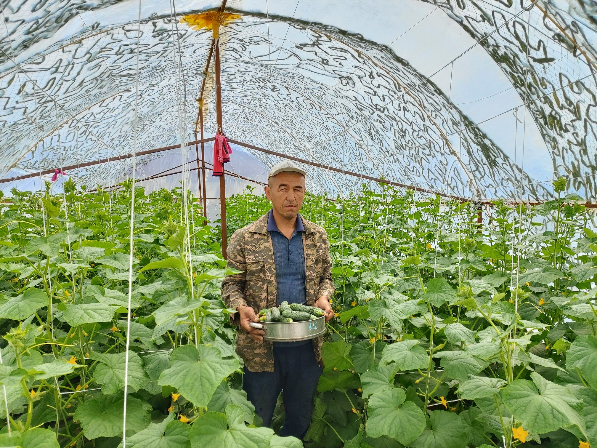 بەس بالانىڭ اكەسى ەكى جىلىجاي اشتى