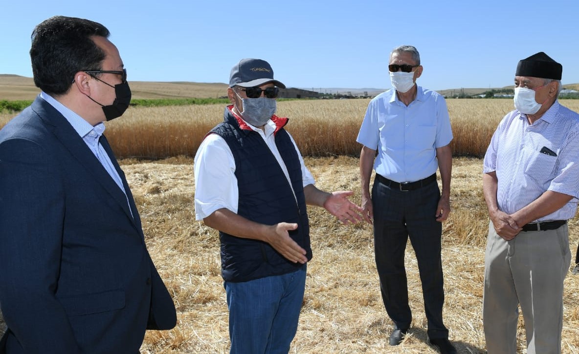 تۇركىستان وبلىسىندا بيىل استىقتان جوعارى ءونىم الۋ جوسپارلانىپ وتىر