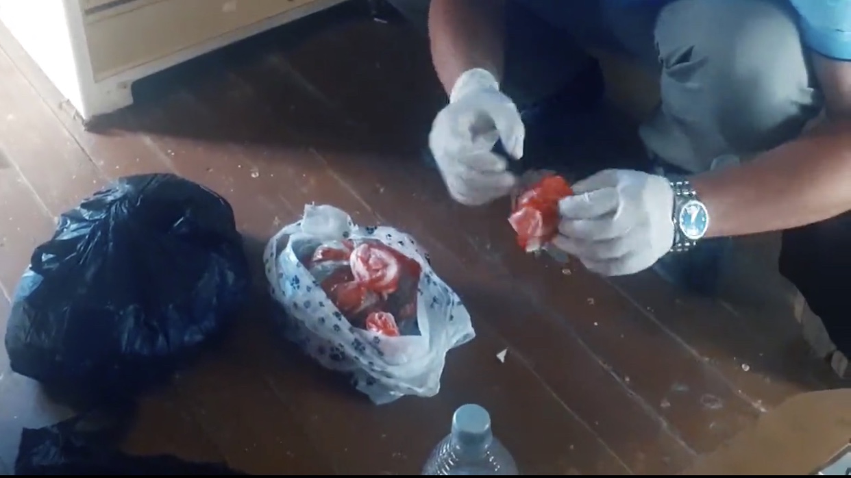 شىمكەنتتىك ايەل توڭازىتقىشىندا "ماريحۋانا" مەن "گاشيش" ساقتاعان