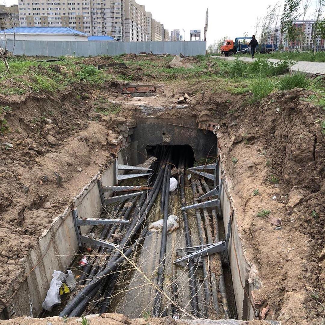 ەلوردادا 500-گە جۋىق يەسىز جەلى قالانىڭ بالانسىنا الىندى – التاي كولگىنوۆ