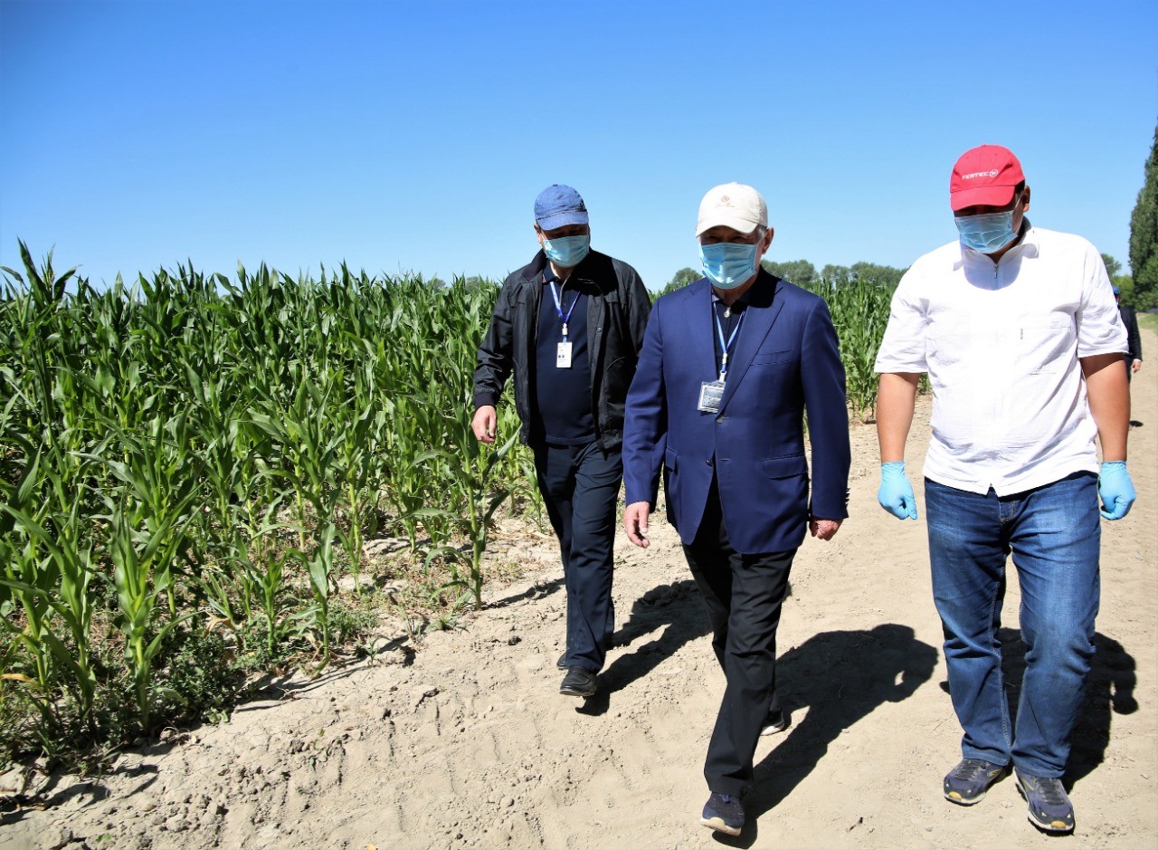 بەردىبەك ساپارباەۆ شارۋالاردى جەردى ءتيىمدى پايدالانۋعا شاقىردى