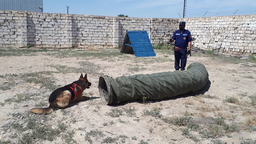 «گەرمەس» جانە «رەي» سىناقتان ءساتتى ءوتتى