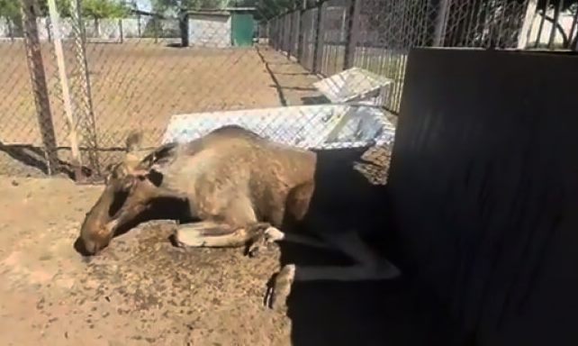 بۇلاننىڭ اجالى