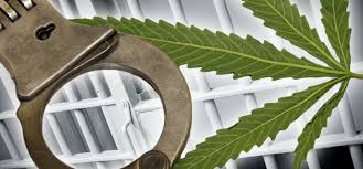 قىزىلوردادا ەسىرتكى قۇقىق بۇزۋشىلىعىنىڭ 64 دەرەگى انىقتالدى