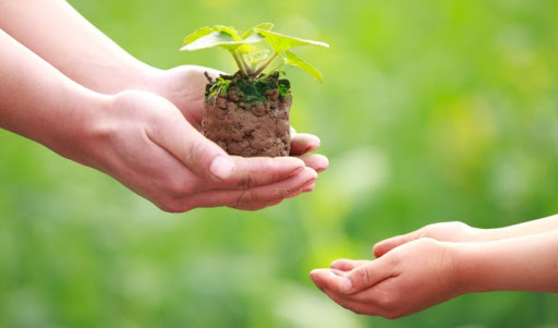 مەيىرىمدى بولساڭىز, مەيىرىمگە بولەنەسىز