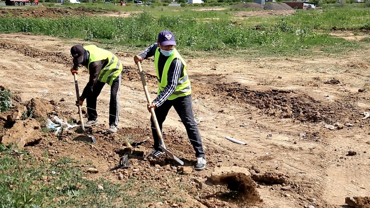 ەلوردادا قالاي جۇمىسقا ورنالاسۋعا بولادى؟