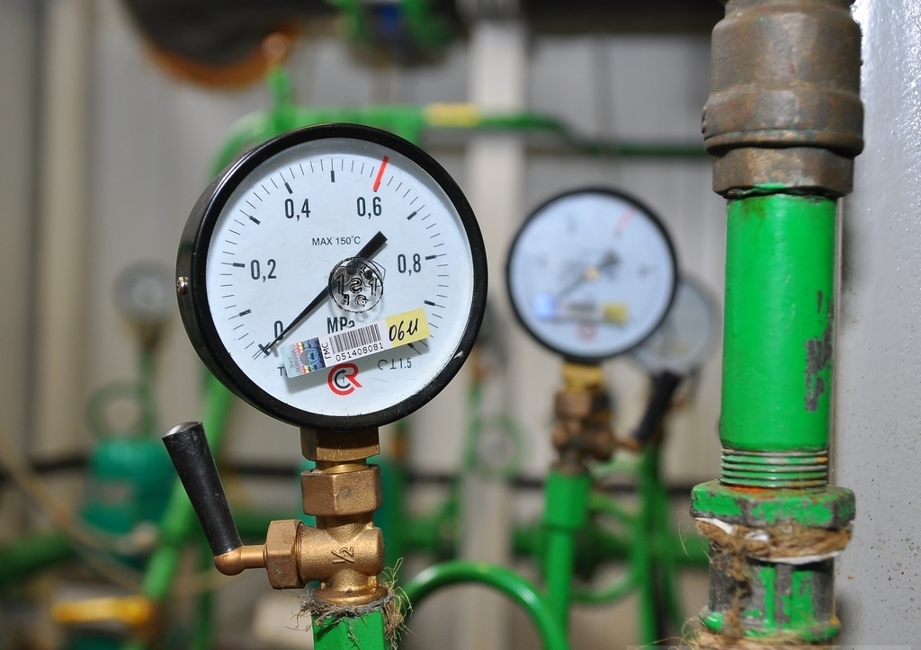 كوكشەتاۋلىقتاردىڭ جىلۋعا قارىزى كوپ