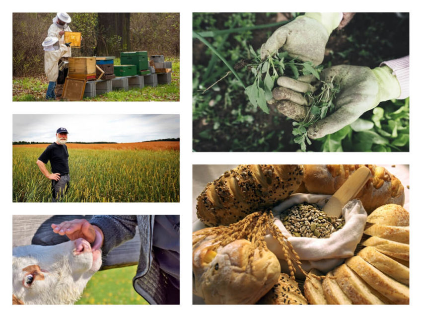 شارۋاشىلىقتار مامانعا مۇقتاج