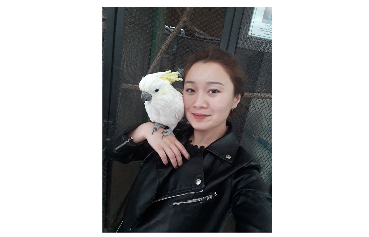 تورداعى توتىقۇسقا ءتىل بىتىرگەن