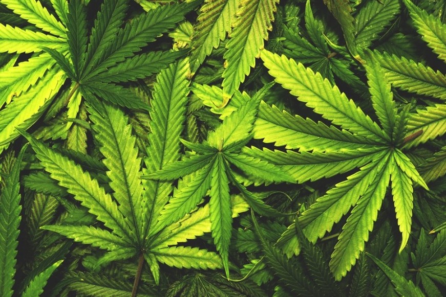 اقتوبەلىك ازاماتتان 19 ءتۇپ قاراسورا تاركىلەندى