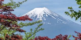 جاپونيا شەتەلدىكتەرگە ۆيزا بەرۋدى ۋاقىتشا توقتاتتى