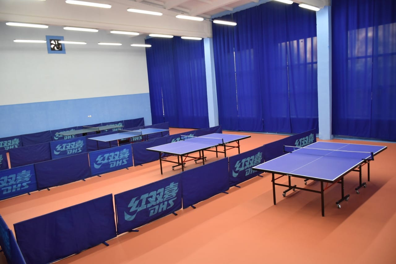 قارقارالى اۋدانىندا الەۋمەتتىك ءۇش نىسان پايدالانۋعا بەرىلدى