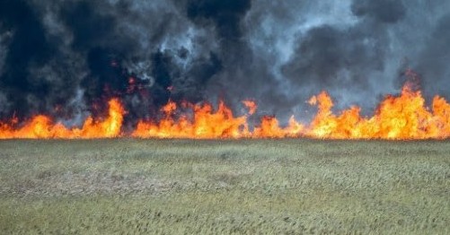 اتىراۋ وبلىسىندا تاعى 5 مىڭ گەكتار القاپ ورتەندى