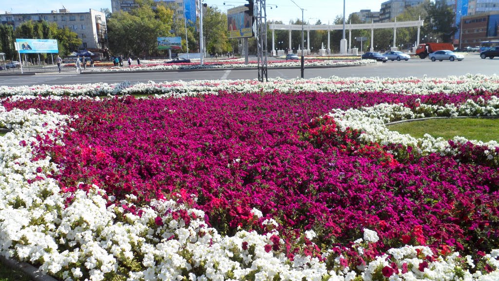 پاۆلودار كوشەلەرى راۋشان گۇلدەرىنە تولى