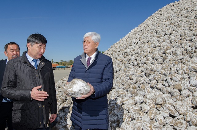 جارقىن بەينە