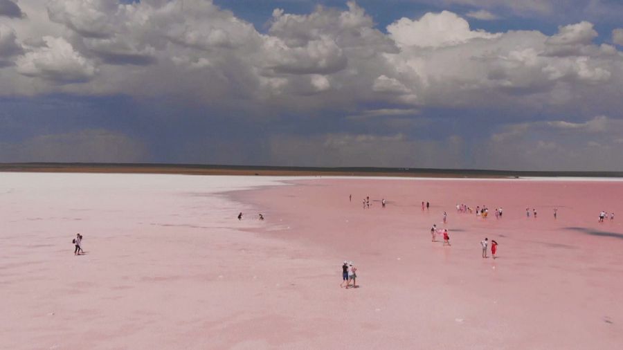 كوبەيتۇزداعى كەلەڭسىز كورىنىس ەكولوگيالىق سانانى تاربيەلەۋ قاجەتتىگىن كورسەتتى