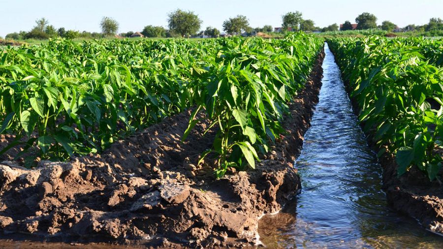 سۋارمالى جەرلەردى سۋمەن قامتي الامىز با؟