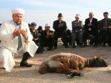 بۇگىننەن باستاپ قازاقستاندىقتار ونلاين قۇرباندىق شالا الادى