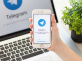 كارانتين كەزىندەگى زاڭبۇزۋشىلىقتاردى حابارلاۋعا بولاتىن Telegram-بوت ىسكە قوسىلدى
