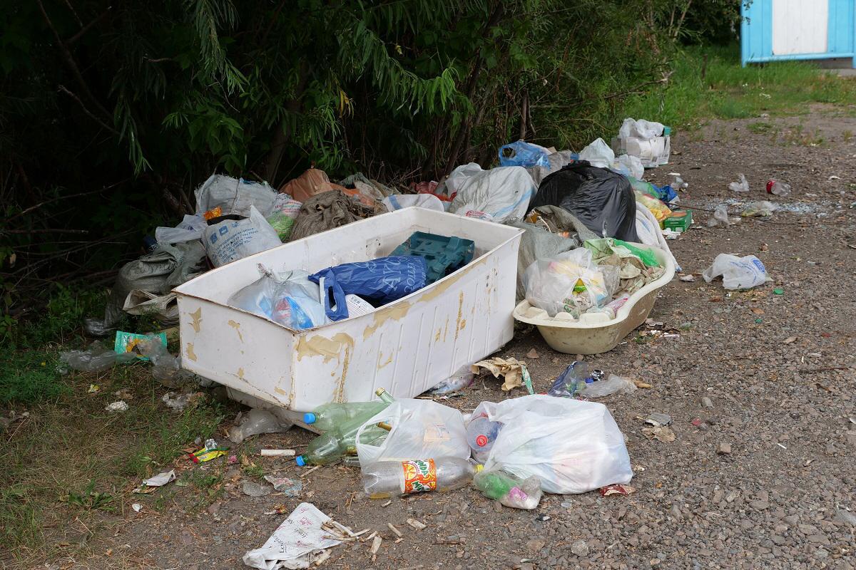 ساياجايدا تازالىق ساقتاماعان 600 پەتروپاۆلدىق جاۋاپقا تارتىلدى