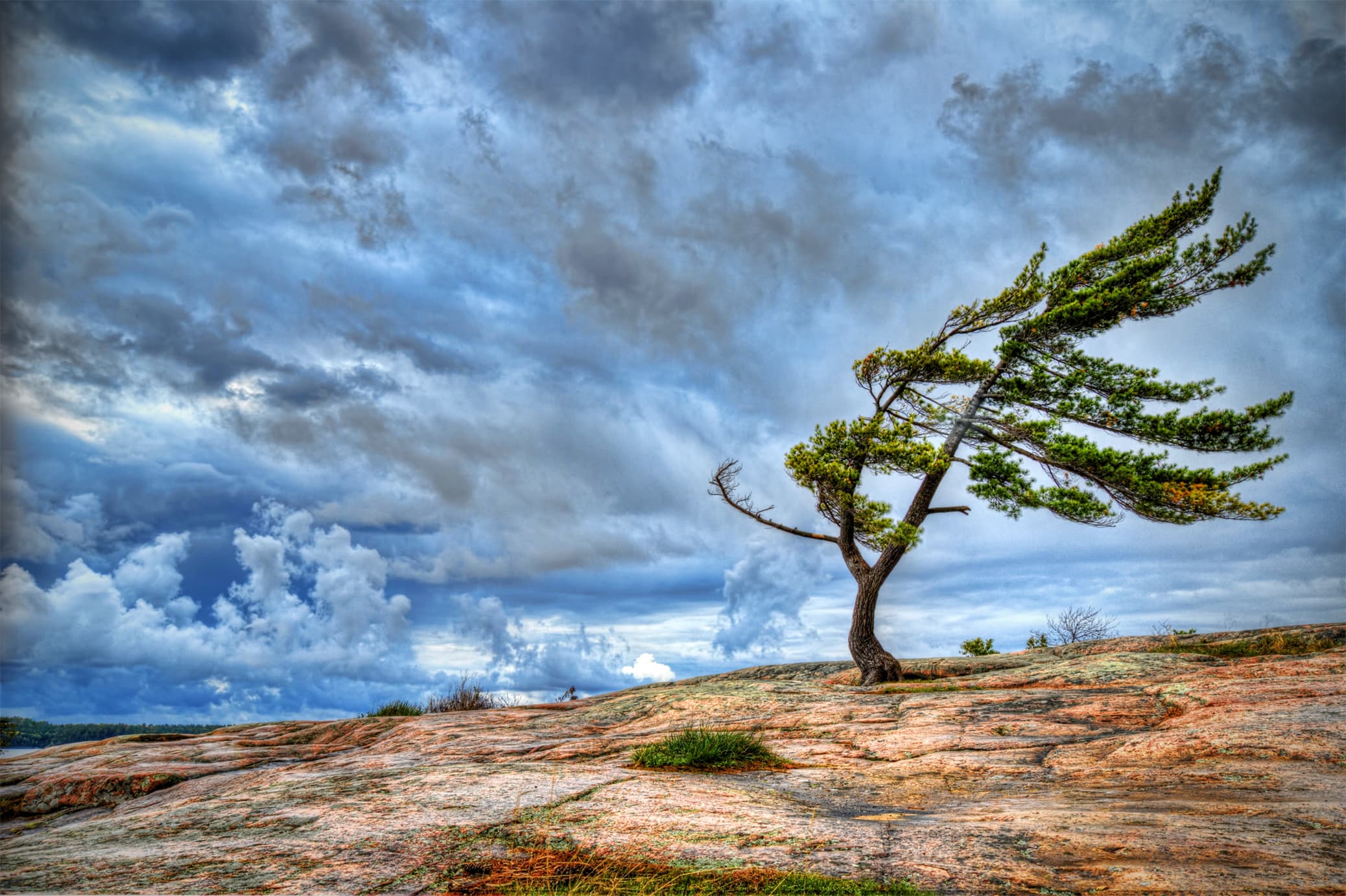 بۇگىن ەلىمىزدىڭ باسىم بولىگىندە جەل كۇشەيىپ, شاڭدى داۋىل سوعادى