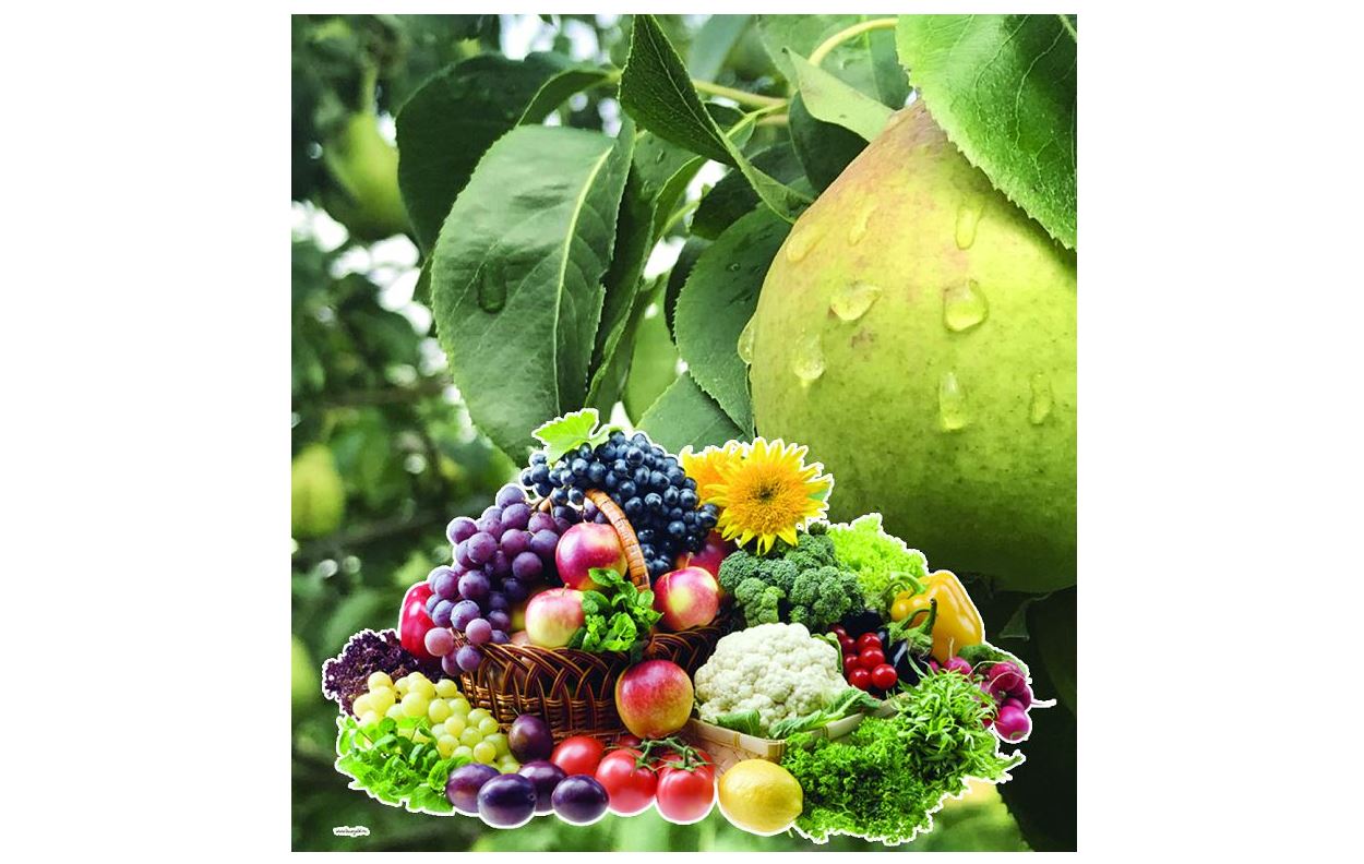 يممۋنيتەتتى كوتەرەتىن ونىمدەر