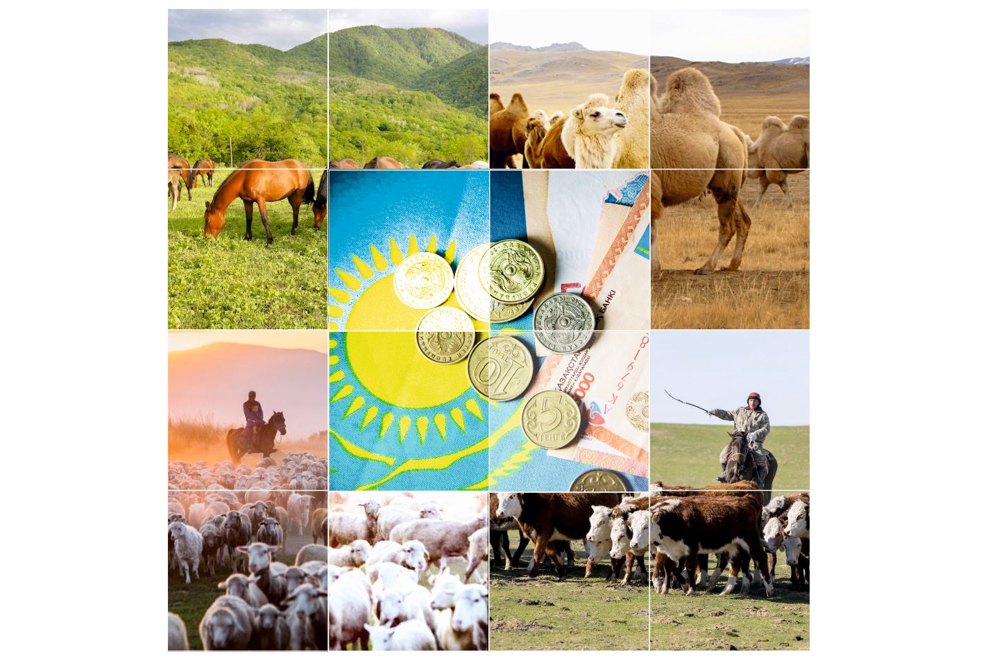 اتا كاسىپ وڭالماي, اۋىل كوشى تۇزەلمەيدى