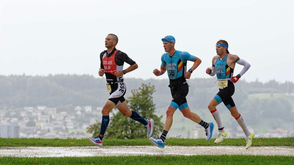 دۋالتوننان 2020 جىلعى الەم چەمپيوناتى وتپەيتىن بولدى