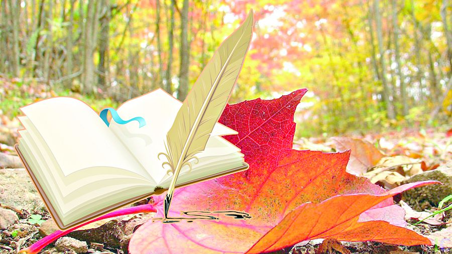 جاڭساقتىقتارعا جول بەرىلمەسە ەكەن