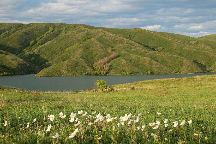 ەرتىس وزەنىنىڭ القابى ەرەكشە قورعالماق