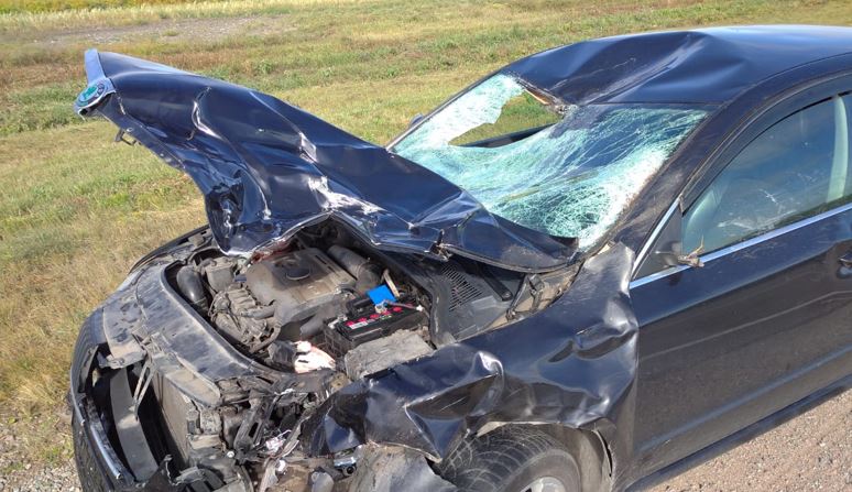 مەيىرىم - جۇرەك جىلىتادى...