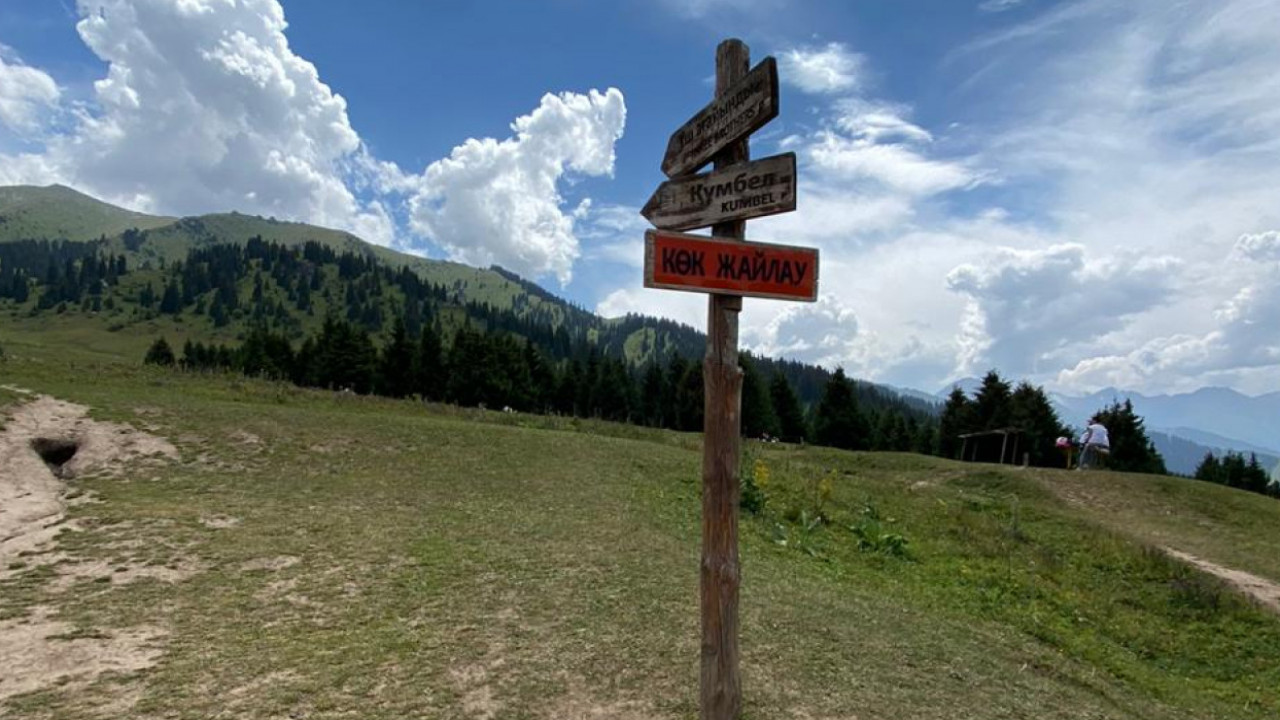 155 شاقىرىمدىق جاياۋ سوقپاق سالىنادى