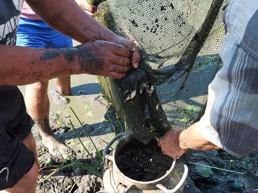 اتىراۋلىقتار 3 ملن شاباقتى قۇتقاردى