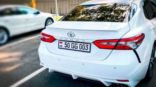 11 مىڭداي ارمەنيالىق كولىك تىركەلدى