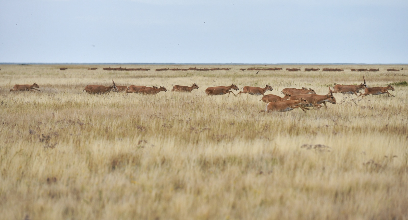 قازاقستاندا اقبوكەندەردى قورعاۋ ەرەكشە نازارعا الىندى