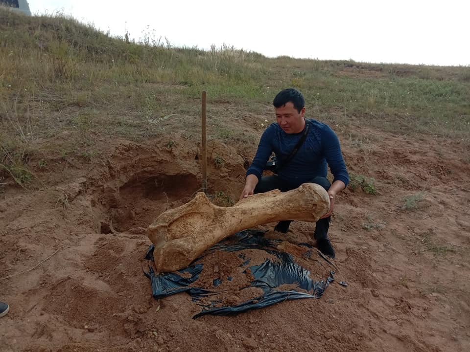 بۇلاندىدان ءزىلدىڭ جىلىگى تابىلدى