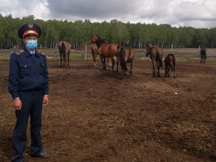 مال باعۋدىڭ جاڭا ەرەجەلەرى