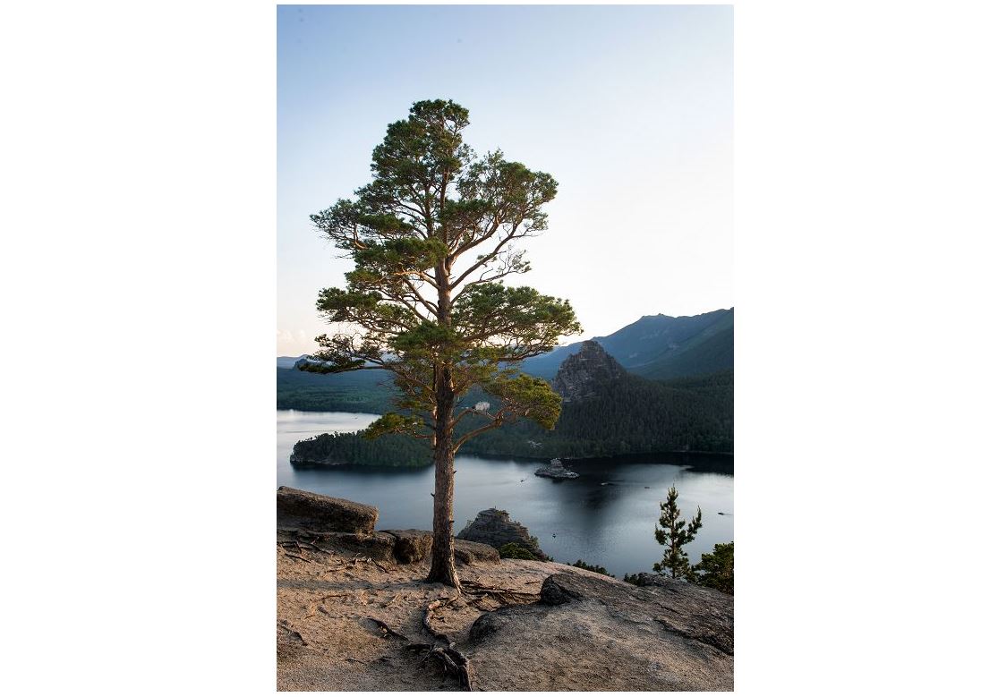 قاشقىن تاۋدىڭ قويناۋىنداعى قازىنا