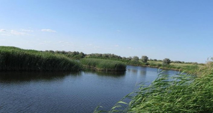 نۇرالىقتاردىڭ ءناسىبى مول