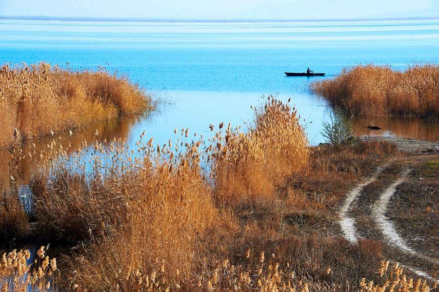 بالىقشىلاردىڭ باسىنان بۇلت سەيىلسە يگى