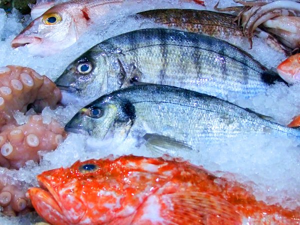 بالىق شارۋاشىلىعىن قولداۋ ماڭىزدى