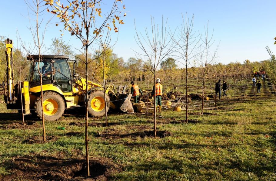 الماتىدا  زاڭسىز اعاش كەسكەنى ءۇشىن جەر تەلىمىنىڭ يەسى جاۋاپقا تارتىلدى