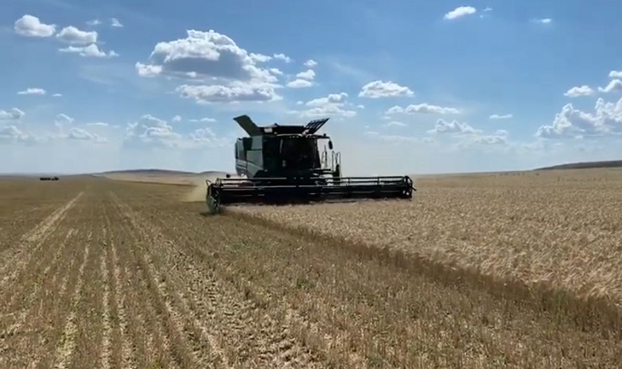 قىرماندا – قىزۋ ەڭبەك