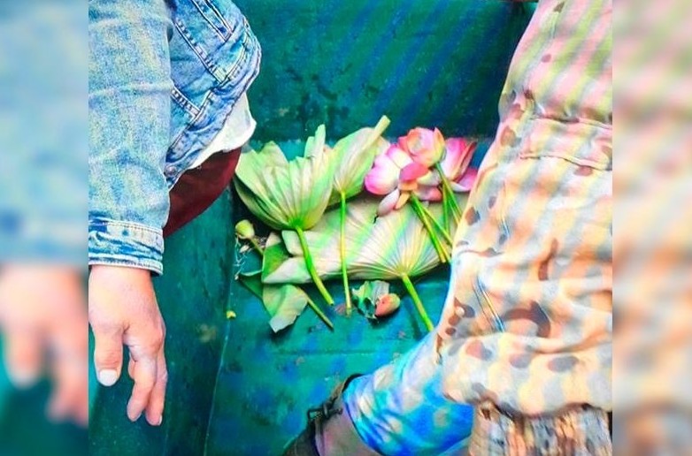 اتىراۋدا سەلفي ءۇشىن لوتوس گ ۇلىن ج ۇلىپ العان تۇرعىن جازالانادى