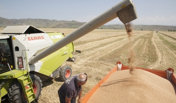 جەتىسۋدا جيىن-تەرىن قارقىندى ءجۇرىپ جاتىر