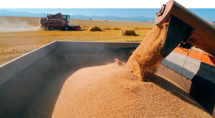 ىرىزدىق ىسىراپ بولمايدى